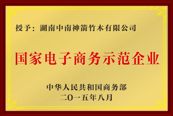 国家级电子商务示范企业—中南神箭