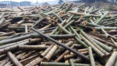 工厂堆的锯断的竹子
