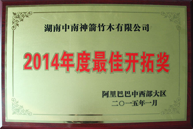 阿里巴巴中西部大区2014年度最佳开拓奖